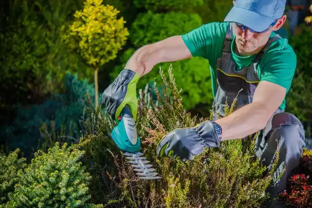 landscaping services Banks Springs